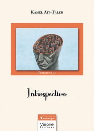 AIT-TALEB KAMEL - Introspection