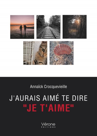 CROCQUEVIEILLE ANNAICK - J'aurais aimé te dire 